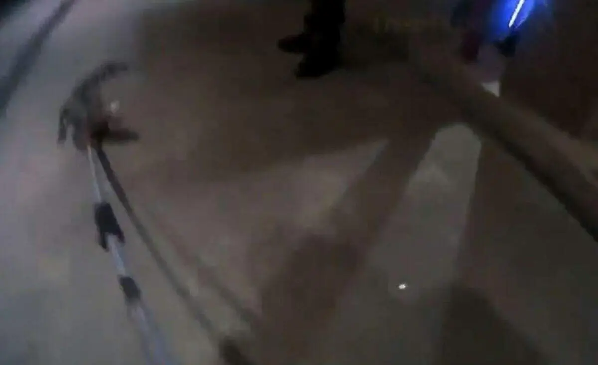 لحظه زنده گیری تمساح خطرناک در کنار خودپرداز+ فیلم