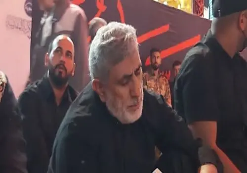 روایت میر احمدی از اضافه شدن ظرفیت زائرین اربعین