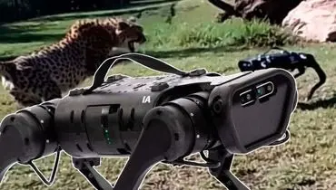 واکنش تعدای از حیوانات باغ‌ وحش به سگ رباتیک + فیلم