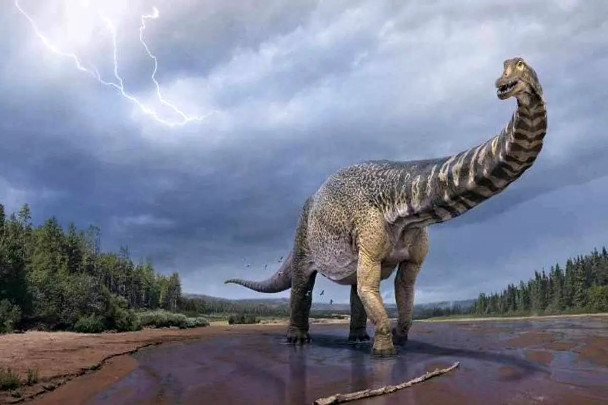 تلاش برای کشف اسکلت بزرگ ترین دایناسور اروپا + فیلم