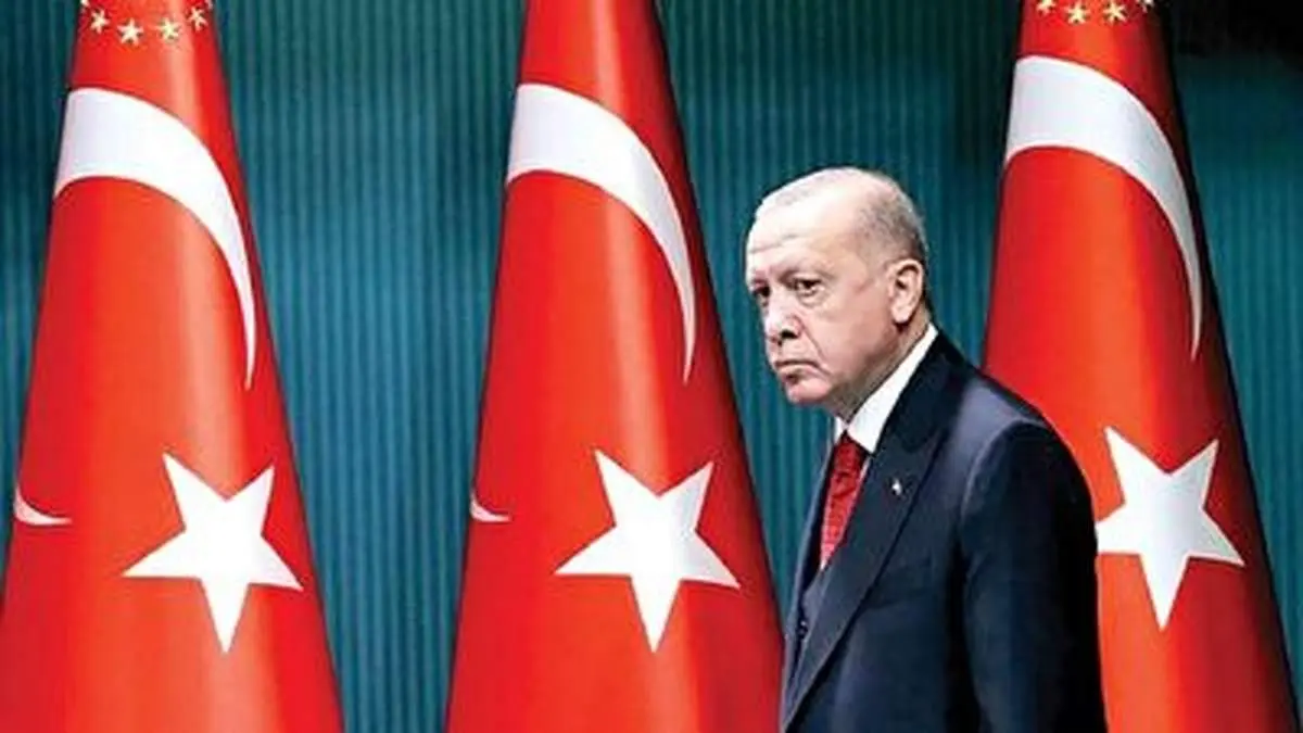 اردوغان خطاب به یونان: ممکن است شبی ناگهان بر شما نازل شویم + فیلم