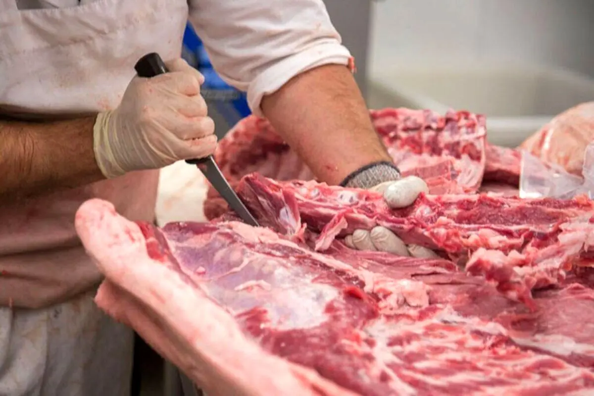 گزارش عجیب از عرضه گوشت اسب و الاغ در کشور
