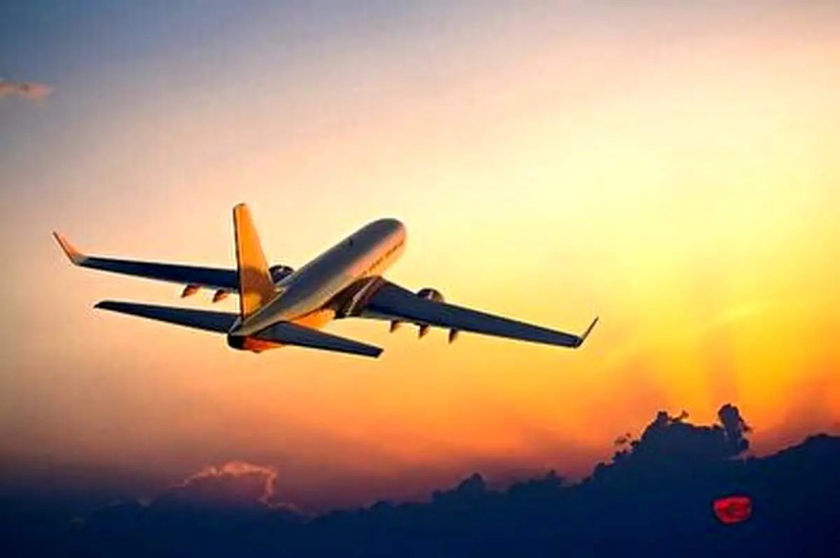 تاخیر پرواز نجف به تهران بانوی ایرانی را راهی بیمارستان کرد!+فیلم