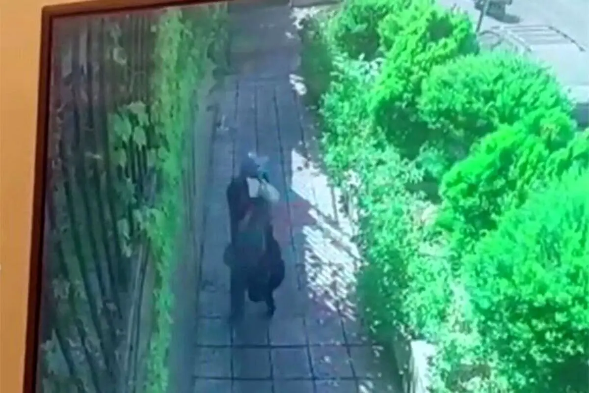 لحظه دستگیری زورگیران خشن شمال تهران!+ فیلم