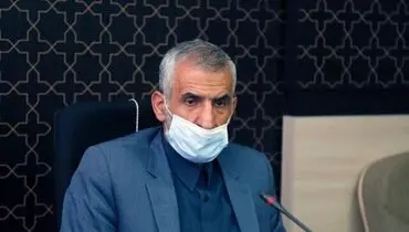 آخرین وضعیت بررسی پرونده مهسا امینی/ میراحمدی: همه دوربین‌های شهری در مسیر تردد مهسا امینی بازبینی می‌شود