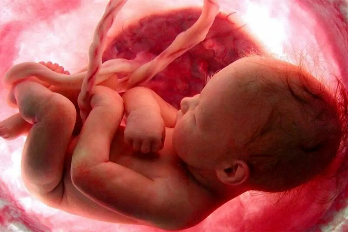 تصاویر حیرت‌ انگیز از واکنش جنین در رحم مادر به مزه و بو + فیلم