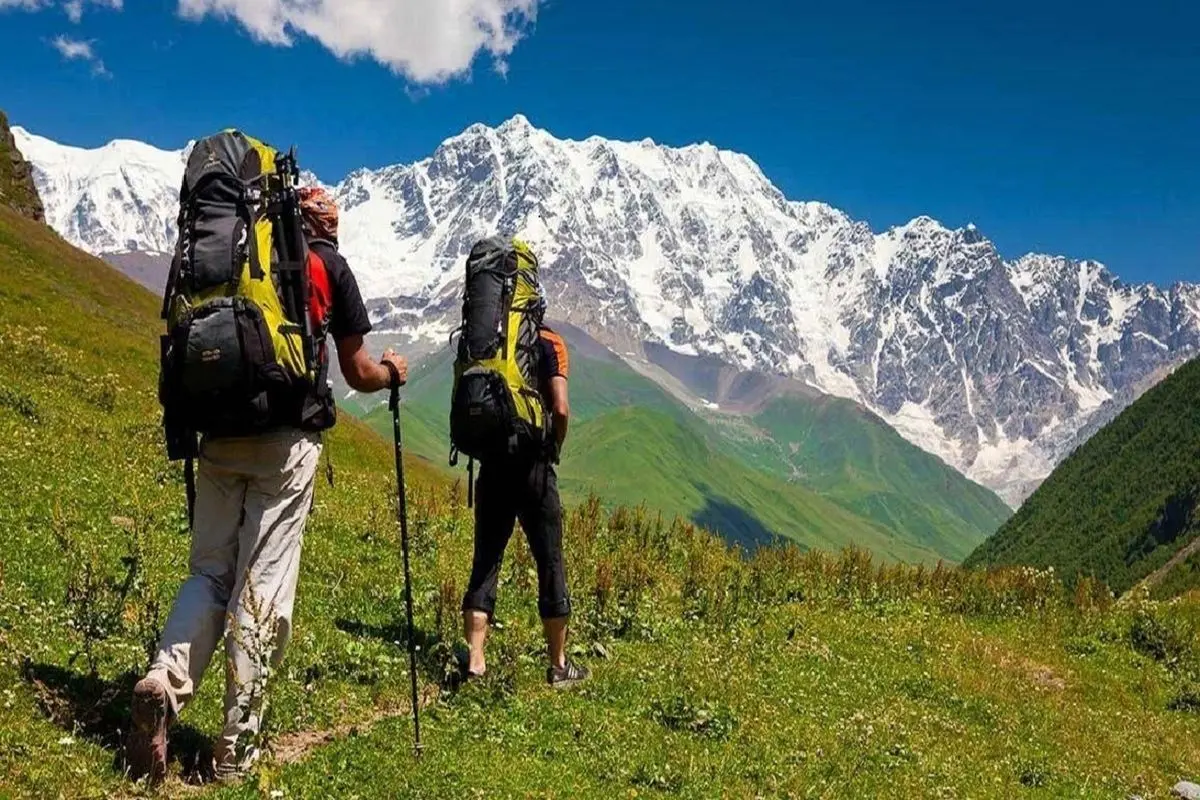 کشف جدید دانشمندان/ تاثیر خارق العاده طبیعت بر مغز انسان!