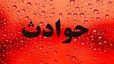 بازی پدر و پسر برای سرقت میلیاردی از مرد تاجر