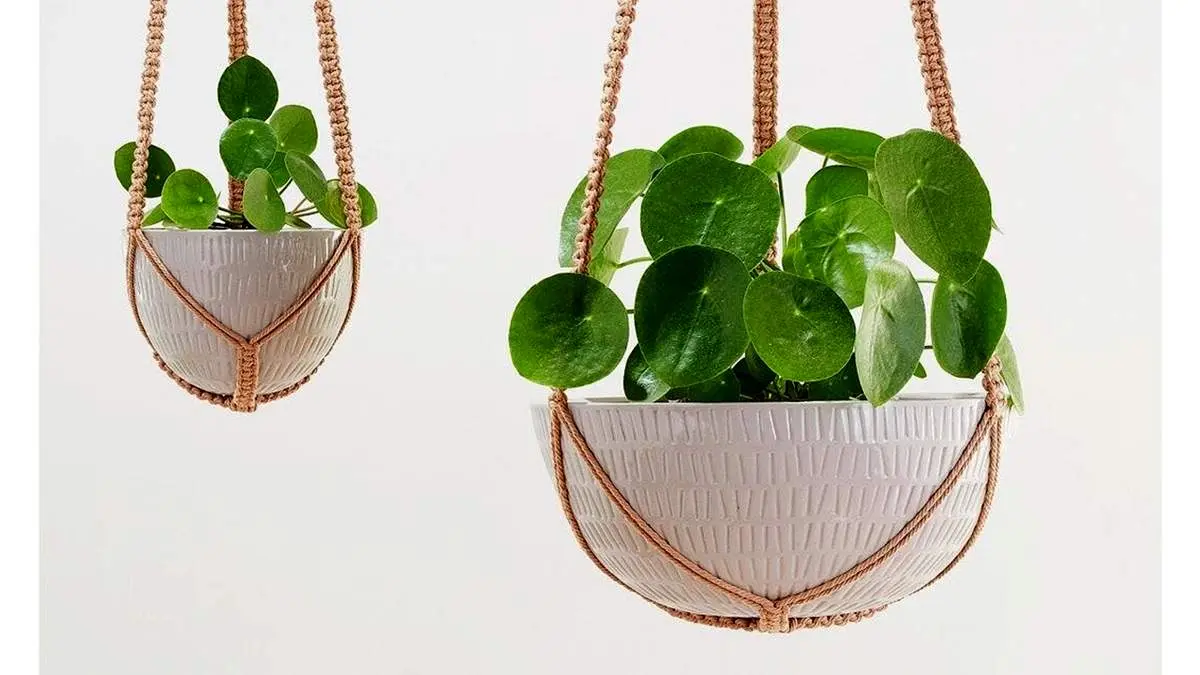 روشی کاربردی و ساده برای آویزان کردن گلدان+ فیلم