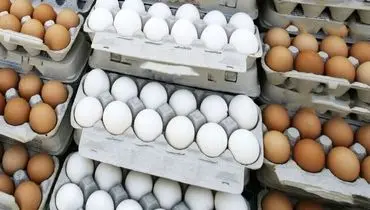 تخم‌‍ مرغ را بالاتر از این قیمت نخرید!