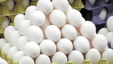 قیمت یک شانه تخم مرغ حداکثر ۹۰ هزار تومان