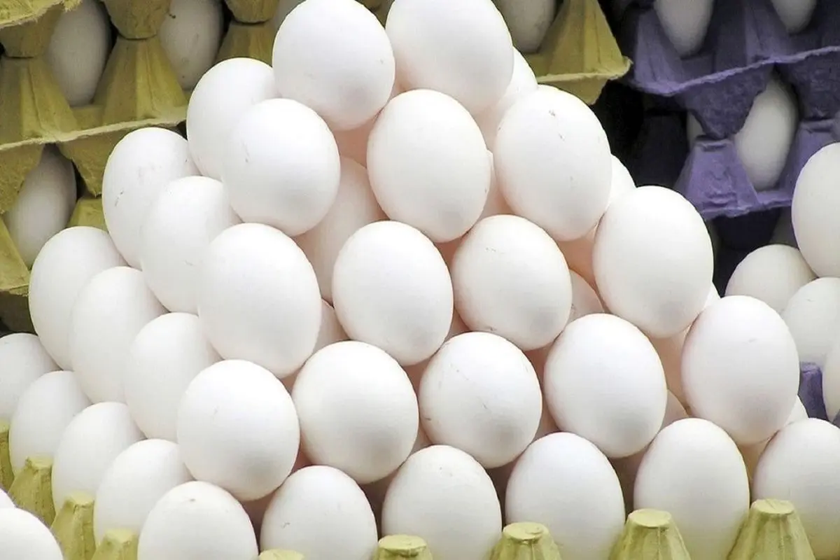 قیمت یک شانه تخم مرغ حداکثر ۹۰ هزار تومان