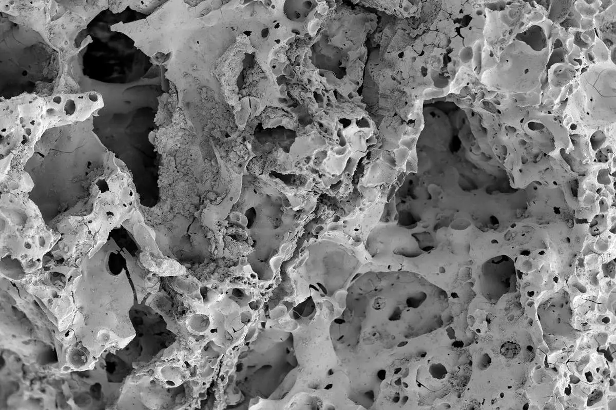 کشف قدیمی‌ ترین نان جهان در اردن + عکس