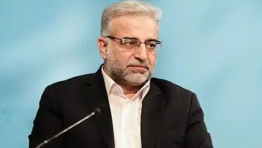 دوتابعیتی بودن زاهدی‌ وفا و فرزندانش تکذیب شد