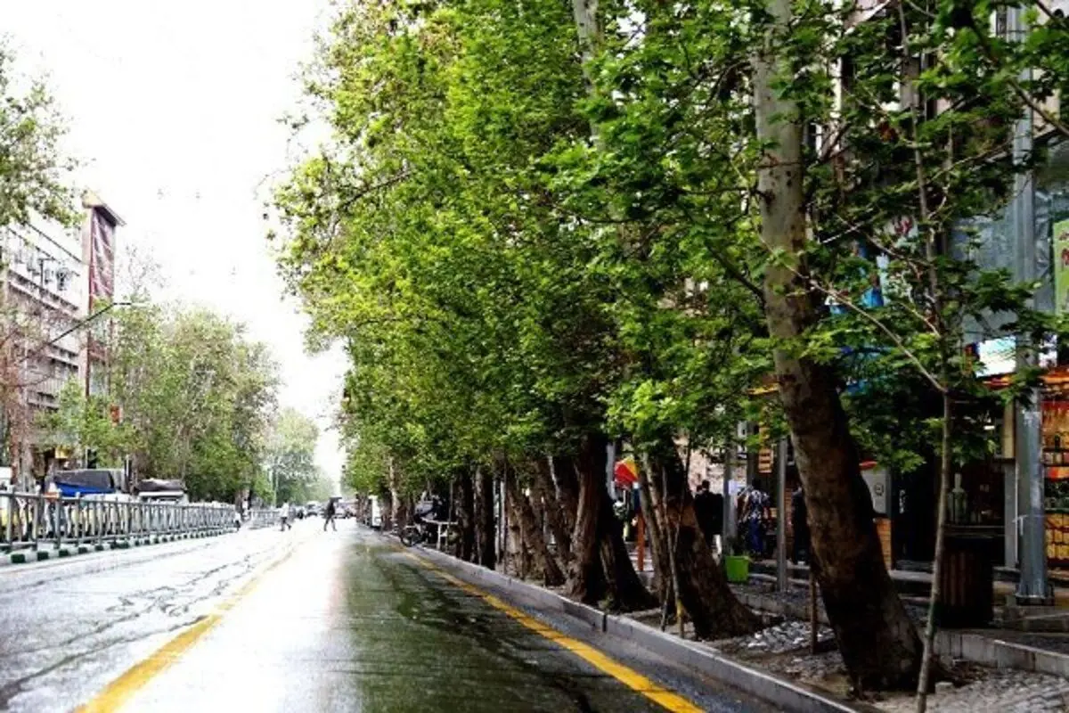 تصویری قدیمی و جالب از خیابان ولیعصر تهران