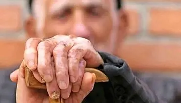 نگهداری ۱۸۰۰ سالمند مجهول الهویه در مراكز شبانه روزی تهران