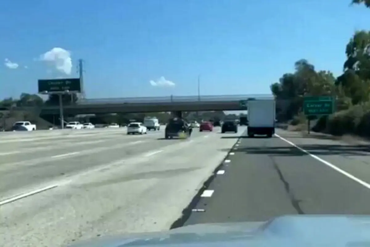 حماقت جنون‌ آمیز یک زن در حین رانندگی در کالیفرنیا!+ فیلم