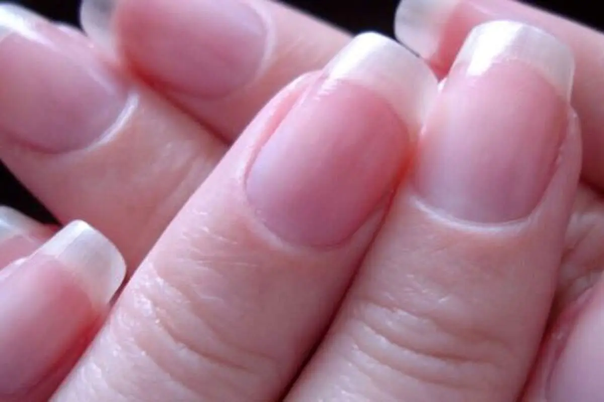 هیولای میکروسکوپی زیر ناخن انسان؛ افشای حقیقت تکان‌ دهنده زیر میکروسکوپ + فیلم