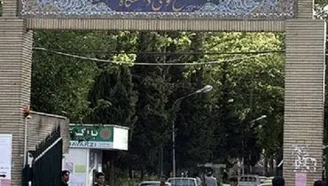 قوه قضاییه: یک دانشجوی پسر دانشگاه تهران در کوی دانشگاه خودکشی کرد / او خود را حلق آویز کرده بود / او با ارسال پیامکی از قصد خود برای خودکشی گفته بود