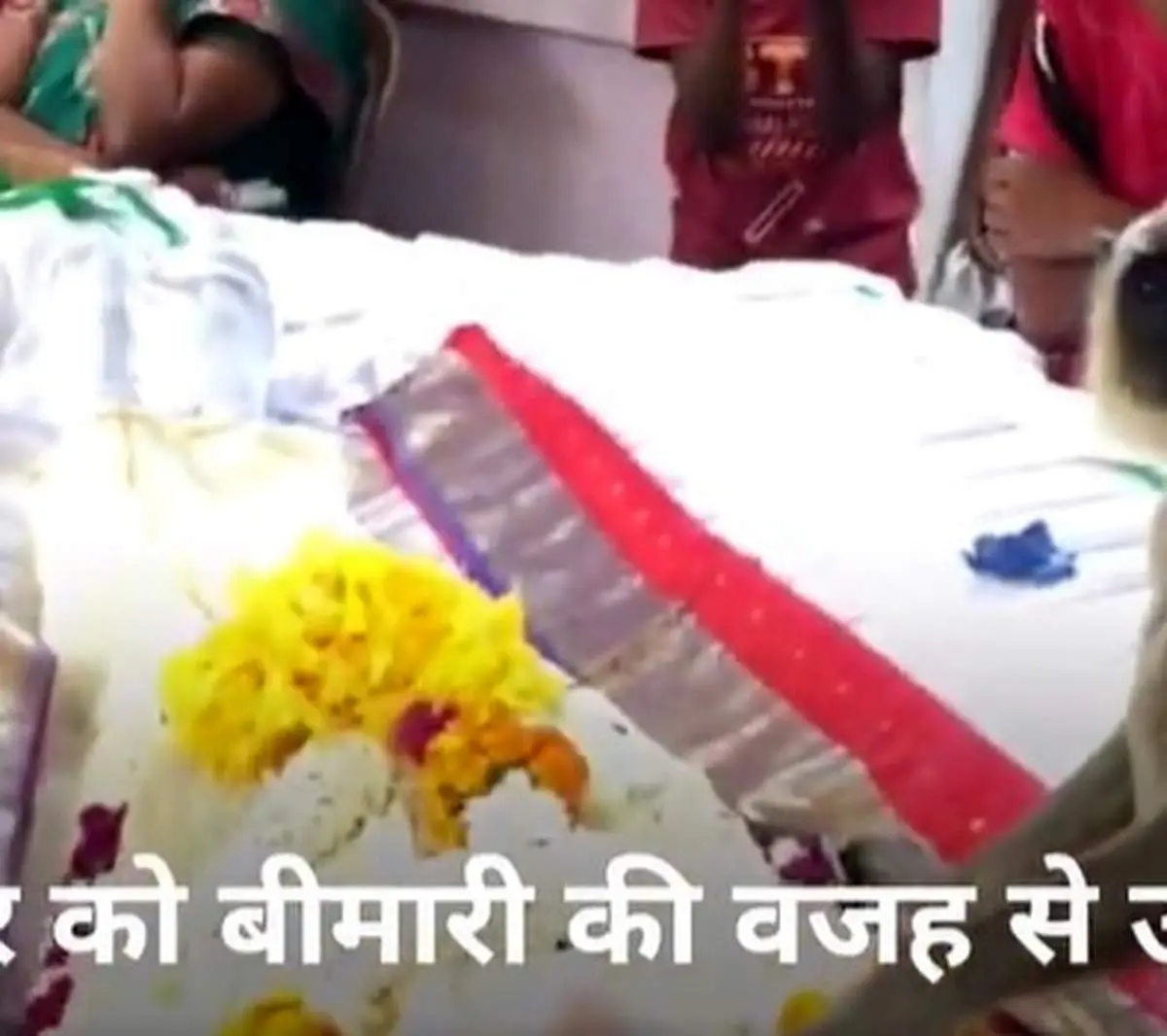 وداع تکان‌دهنده یک میمون با پیکر صاحبش+ فیلم