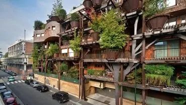 آپارتمانی عجیب در تورینو ایتالیا/ ۶۳ درخت منحصر به فرد در یک آپارتمان + تصاویر