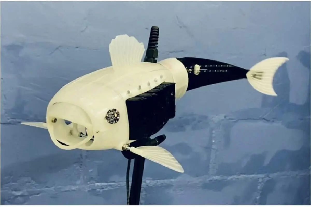 «روبو ماهی» به واقعیت تبدیل می‌شود+ فیلم