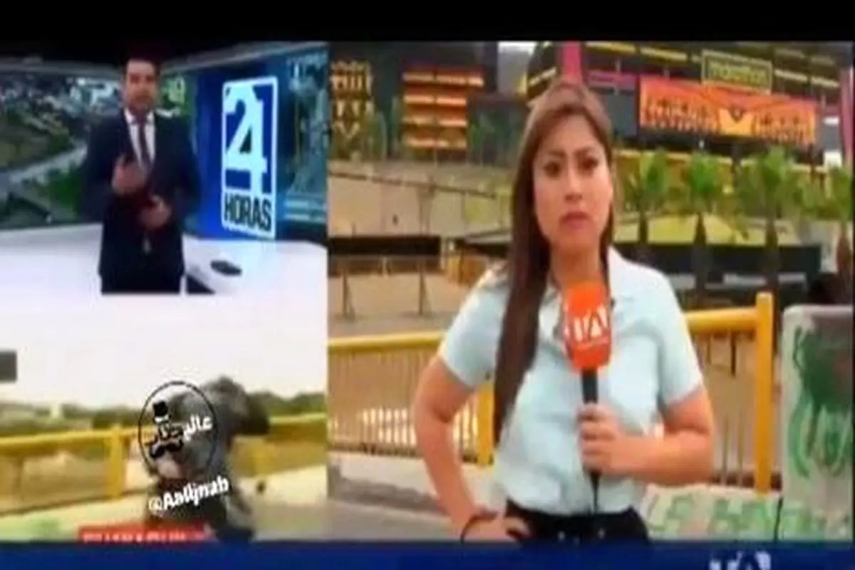 لحظه سرقت مسلحانه از خبرنگار در حین پخش زنده! + فیلم