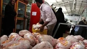آغاز توزیع روزانه ۱۰۰۰ تن مرغ منجمد با قیمت ۴۵ هزار تومان/ مرغ ارزان می‌شود؟