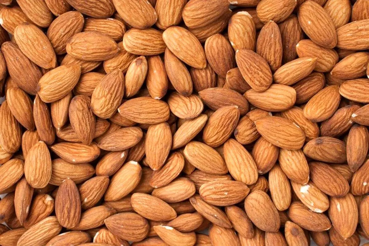 آشنایی با فواید بادام برای روده ها