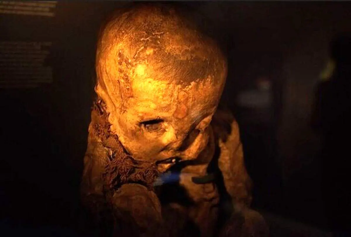 دیدنی های روز؛ از نوزاد مومیایی شده تا شفای بیماری با خورشید گرفتگی