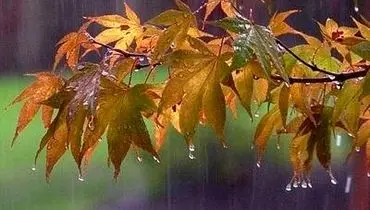 هشدار هواشناسی؛ بارش باران و خیزش گردوخاک در ۱۹ استان