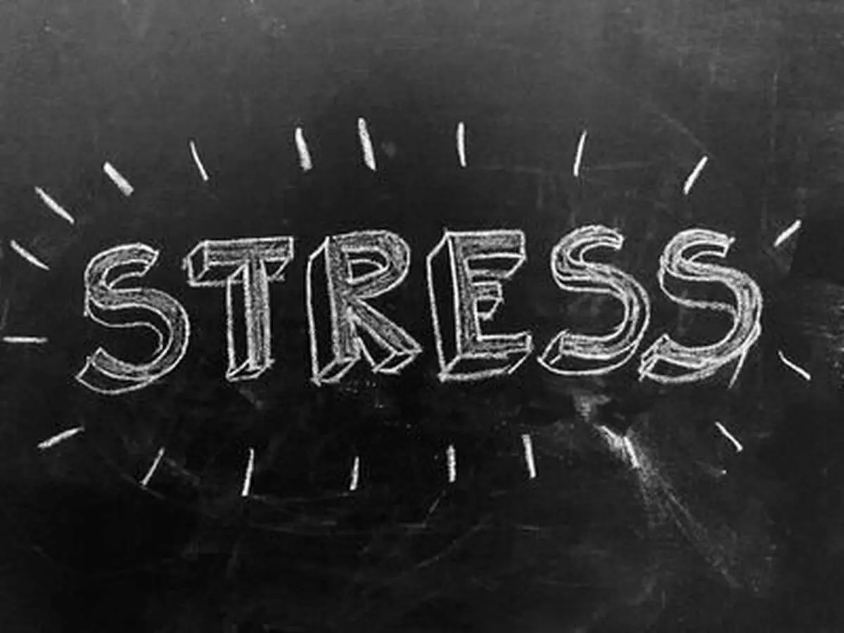 تاثیر مثبت «استرس‌ خوب» بر عملکرد مغز