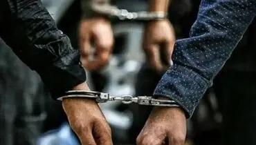 وزارت ارشاد: هیچ فردی در تهران به‌خاطر فعالیت رسانه‌ای دستگیر نشده / تاکنون ۸ روزنامه‌نگار بازداشتی آزاد شده‌اند