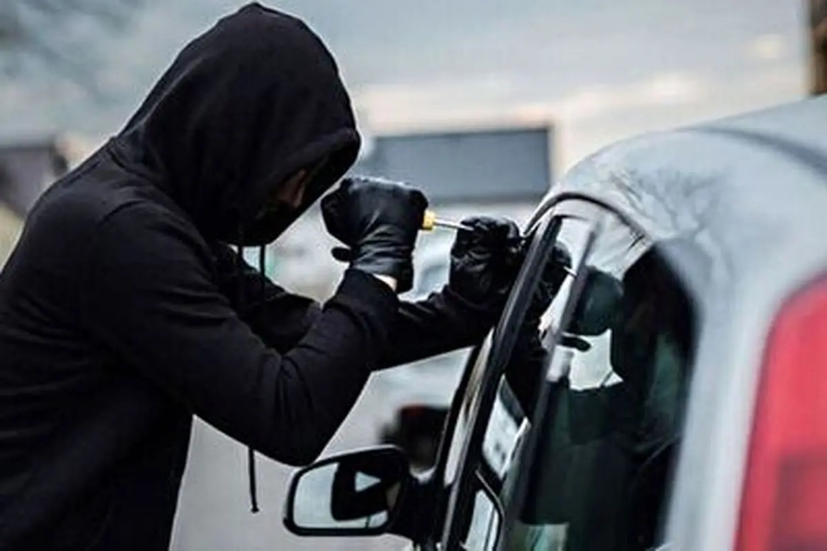 لحظه وحشت و فرار یک دزد در حین سرقت ماشین به دلیل ترفند تماشایی مالک خودرو+ فیلم