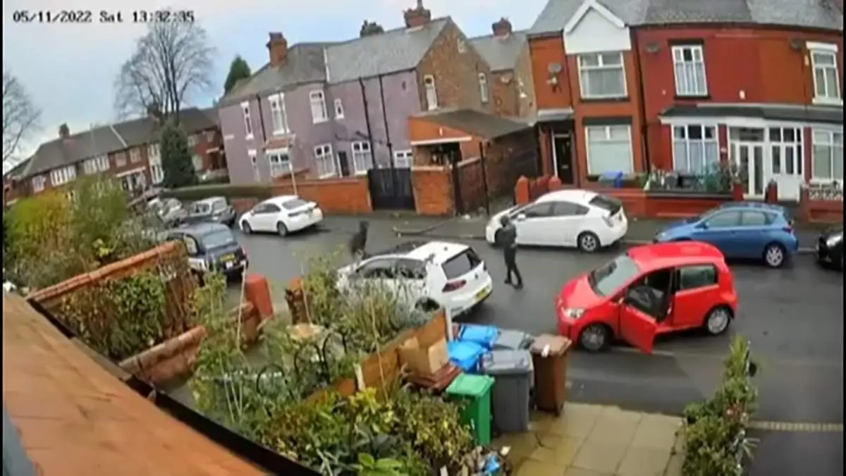 دزدیدن اموال یک زن در منچستر + فیلم