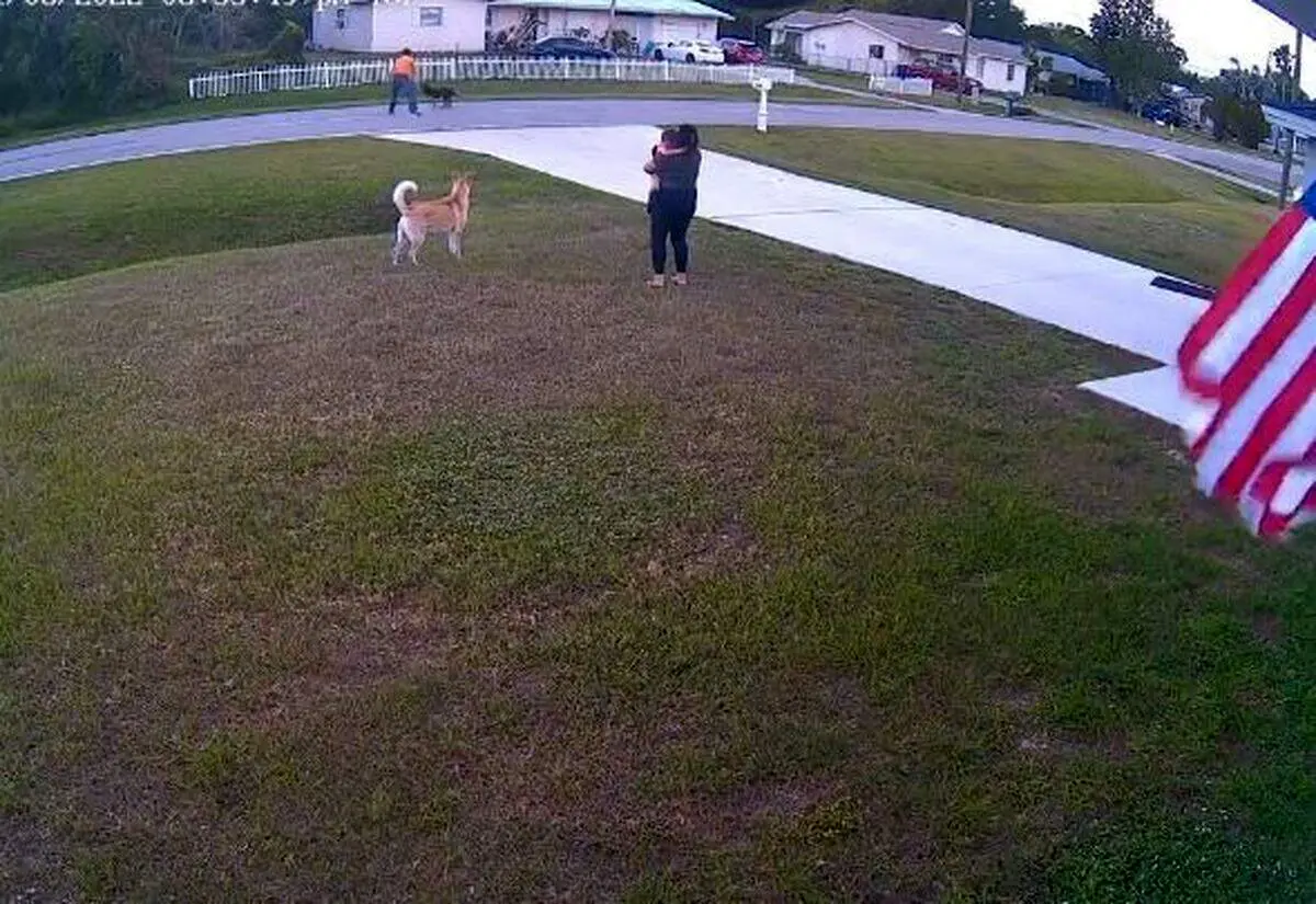 لحظه نجات برق آسای کودک توسط سگ نگهبان+ فیلم