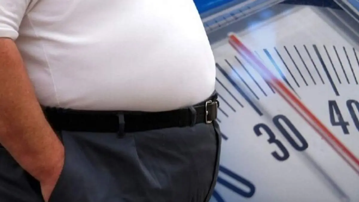 چاقی یک عامل خطر برای سلامت