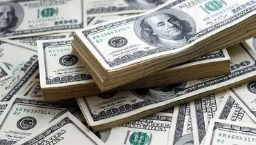 روند افزایشی قیمت دلار ادامه خواهد داشت/ قیمت واقعی دلار چقدر است؟+فیلم