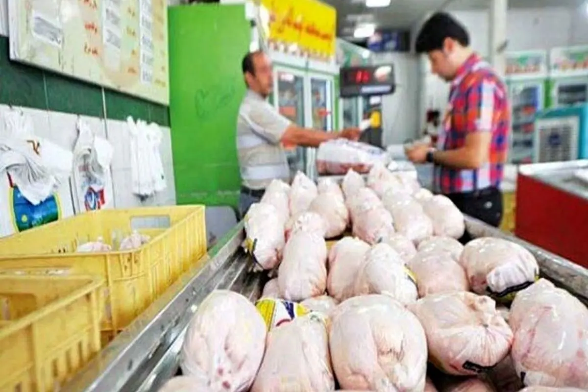 حذف «مرغ» از سبد خرید خانوار‌های کارگری؛ با حقوق ۶ میلیونی می‌شود ماهی ۱۰ کیلو مرغ خرید؟