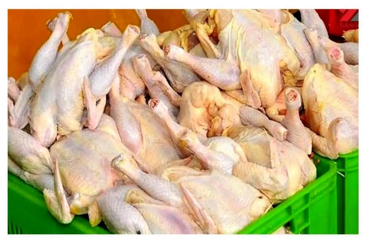 انواع گوشت مرغ بسته بندی در بازار چند؟
