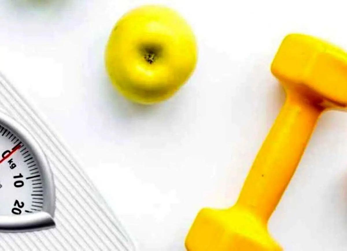 بهترین رژیم کاهش وزن چیست؟