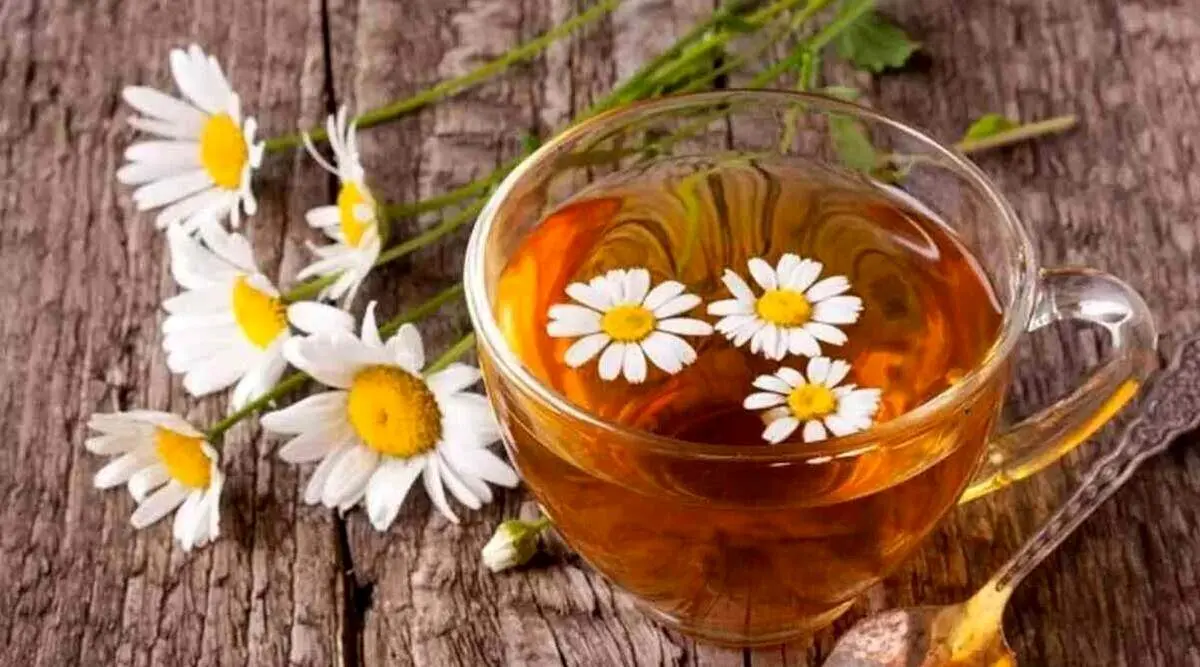 دمنوش های ضد سرفه + اینفوگرافی