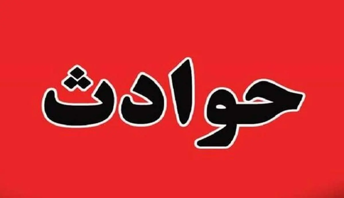 داستان غم انگیز خواهر و برادری که ربوده شدند/ دختر ۳ ساله در پارک جان داد