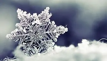 بارش نخستین برف پاییزی در جنوب استان اردبیل+ فیلم