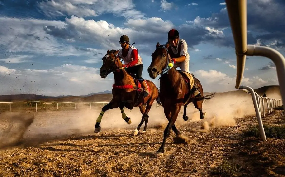 برخورد دلخراش سوارکاران با خودرو در حین مسابقه+ فیلم