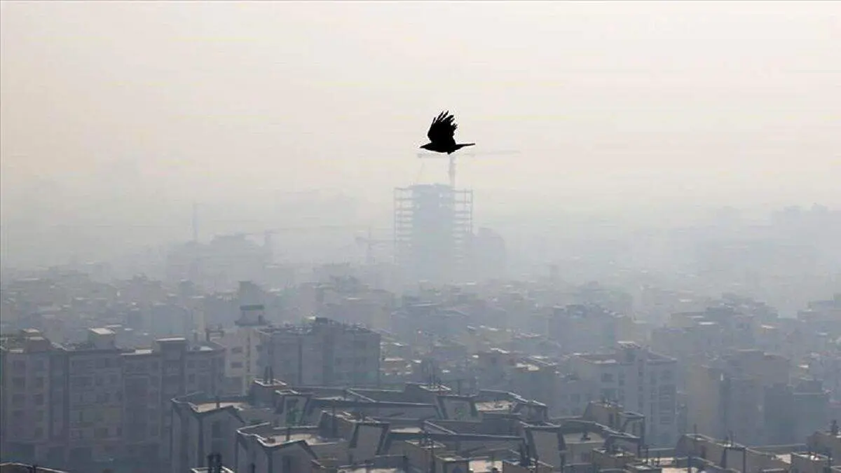 وزارت بهداشت: آلودگی هوا در ایران سومین علت مرگ ومیر است