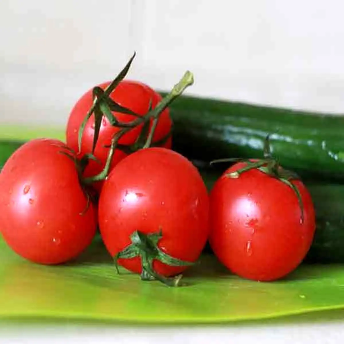نگهداری گوجه و خیار در یخچال به مدت طولانی