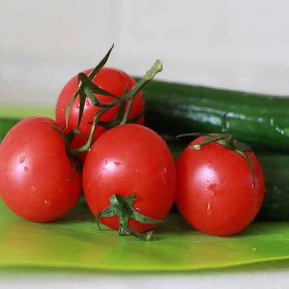 نگهداری گوجه و خیار در یخچال به مدت طولانی