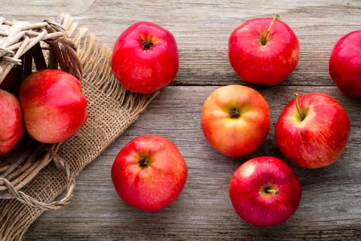 برای جلوگیری از زوال حافظه چه بخوریم؟