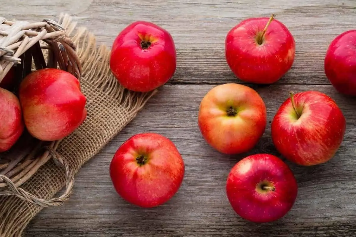 برای جلوگیری از زوال حافظه چه بخوریم؟